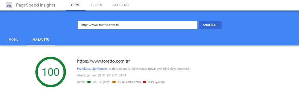 Pagespeed Insights Skoru