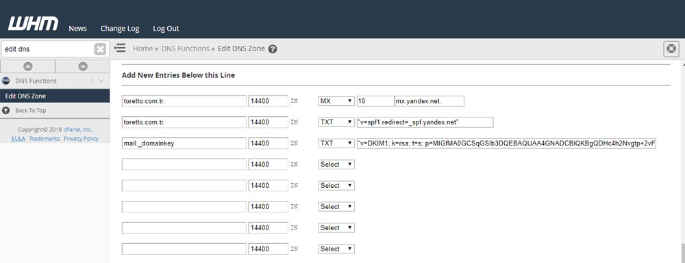edit dns zone alanı
